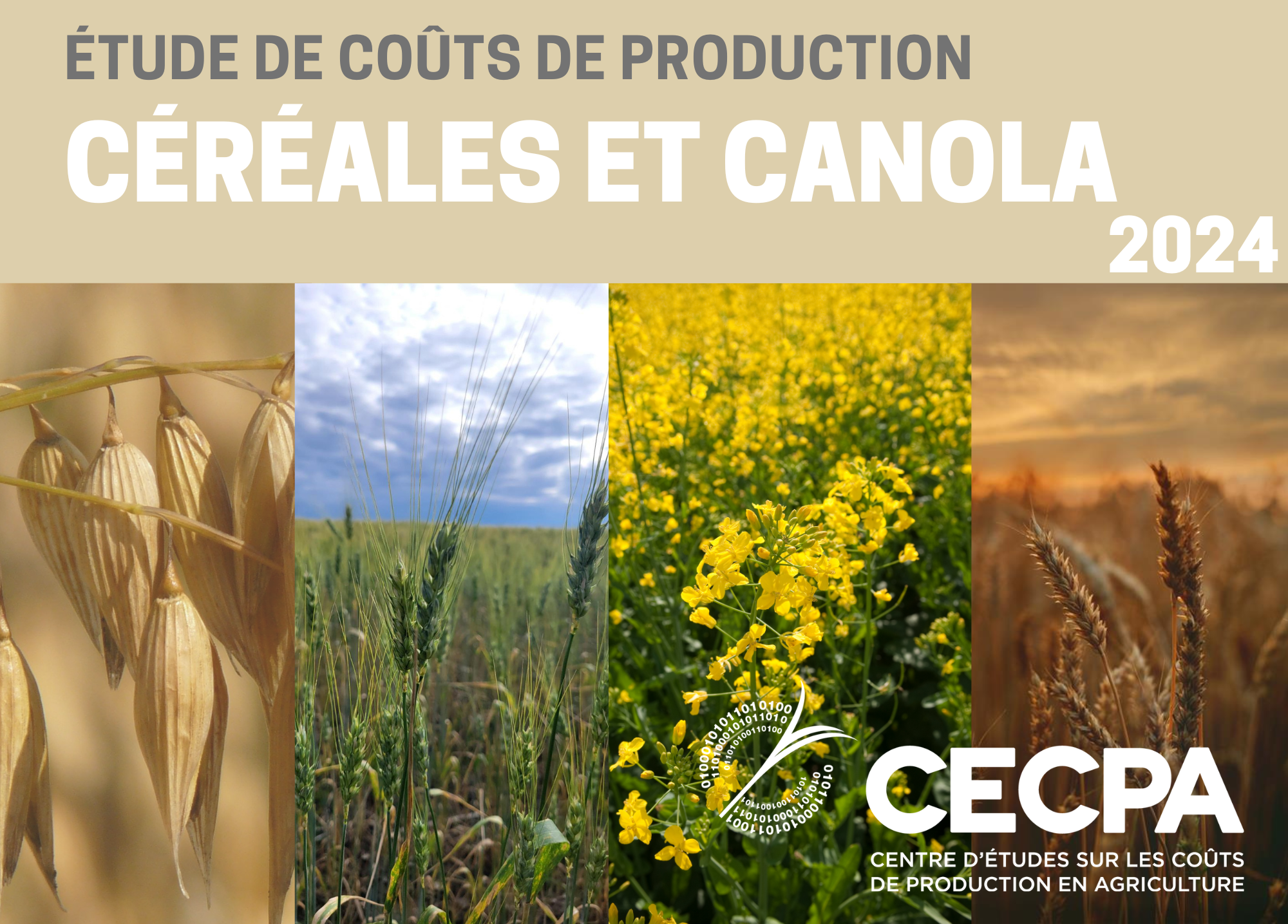 étude : ÉTUDE DE COÛTS DE PRODUCTION - CÉRÉALES ET CANOLA 2024